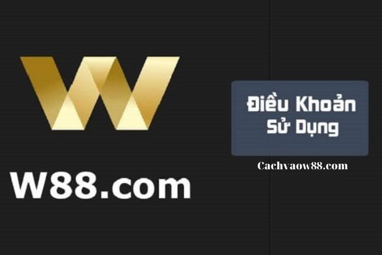 điều khoản sử dụng cachvaow88