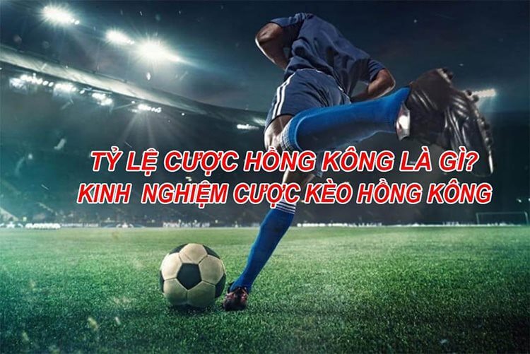 tỷ lệ HK