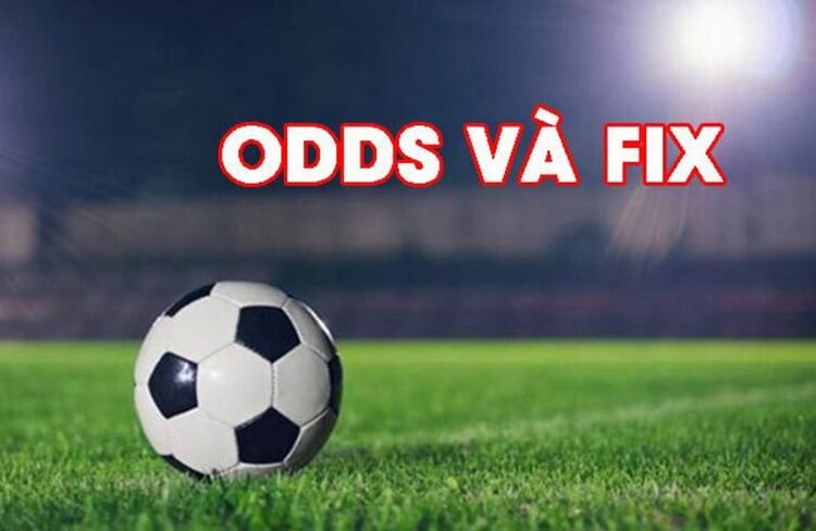 Cách xem odds và fix